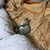 Profile picture small