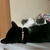 Profile picture small