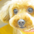Profile picture small