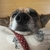 Profile picture small