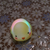 Profile picture small