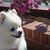 Profile picture small