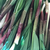Profile picture small