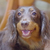 Profile picture small