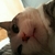 Profile picture small