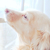 Profile picture small