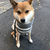 Profile picture small