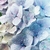 Profile picture small