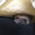 Profile picture small