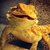 Profile picture small