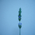 Profile picture small