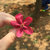 Profile picture small