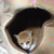 Profile picture small