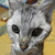 Profile picture small