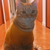 Profile picture small