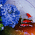 Profile picture small