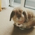 Profile picture small