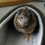 Profile picture small