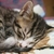 Profile picture small