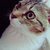 Profile picture small