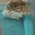 Profile picture small