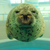 Profile picture small