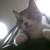 Profile picture small