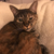 Profile picture small