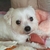Profile picture small