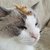 Profile picture small