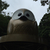 Profile picture small