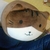 とりたん