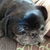 Profile picture small