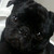 Profile picture small