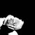 Profile picture small