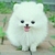 Profile picture small
