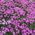 Profile picture small