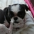 Profile picture small
