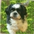 Profile picture small