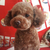 Profile picture small