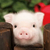 Profile picture small
