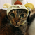 Profile picture small