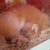 Profile picture small