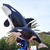 Profile picture small