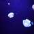 Profile picture small