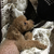 Profile picture small