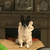 Profile picture small