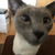 Profile picture small