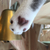 Profile picture small