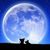 Profile picture small